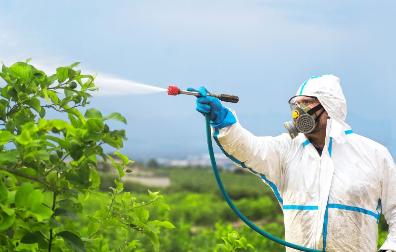 Fumigation Service in San Antonio, TX