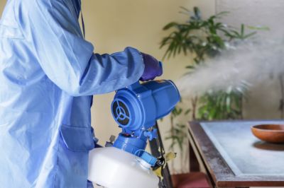 Fumigation Service in Marietta, GA