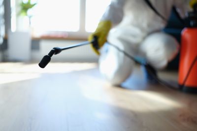 Pest Fumigation Service in Cumming, GA