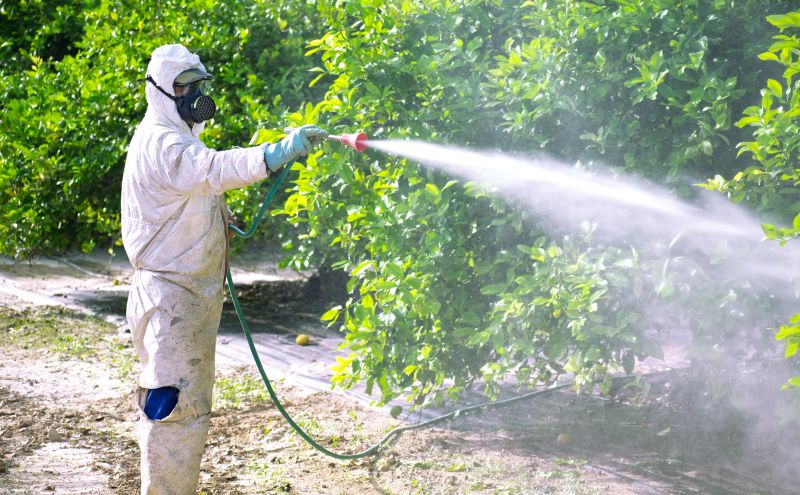 Roach Fumigation in Franklin, TN