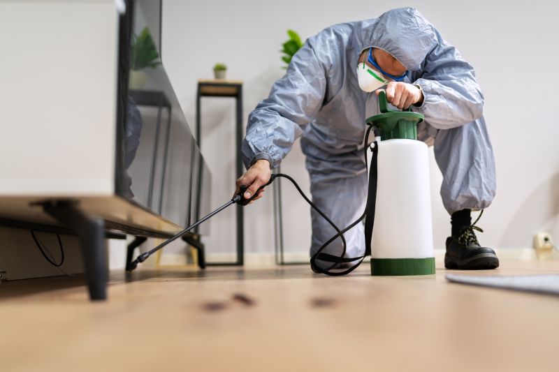 Roach Fumigation in San Antonio, TX