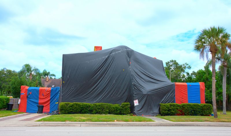 Termite Tenting in Naperville, IL