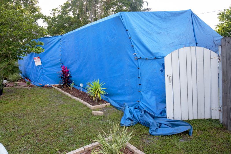 Termite Tenting in Toledo, OH