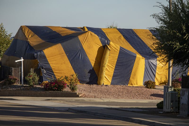Termite Tenting in Gwinnett County, GA
