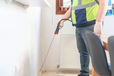 Ant Control Service in Arlington, TX