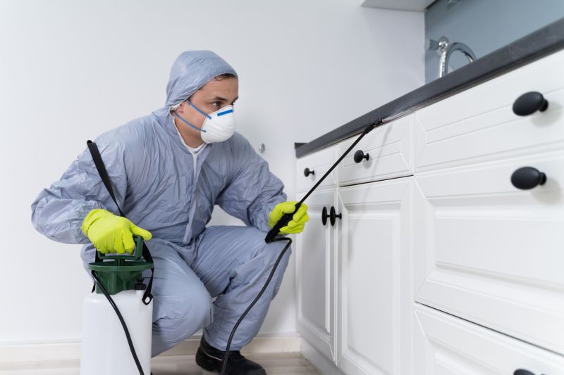 Beetle Removal in Arlington, TX