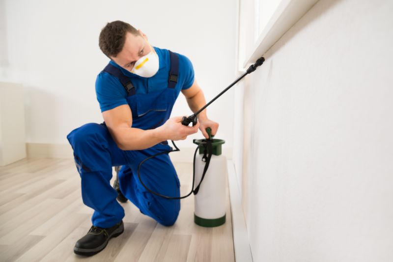 Bug Extermination Service in Frisco, TX