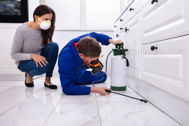 Bug Extermination Service in Katy, TX