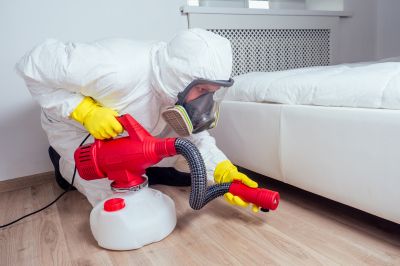 Commercial Pest Control in Katy, TX