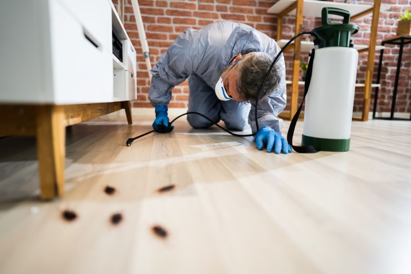 Insect Control Service in Katy, TX
