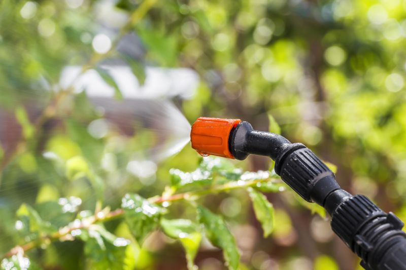 Lawn Insect Spraying in Arlington, TX