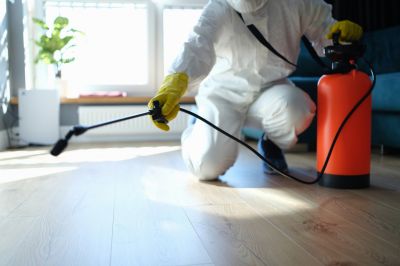Mouse Spider Extermination in Frisco, TX