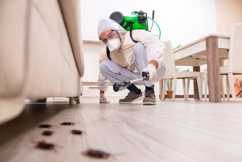 Pest Extermination Service in Katy, TX