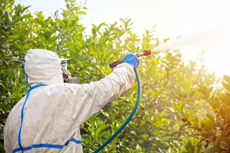 Pest Fumigation Service in Marietta, GA