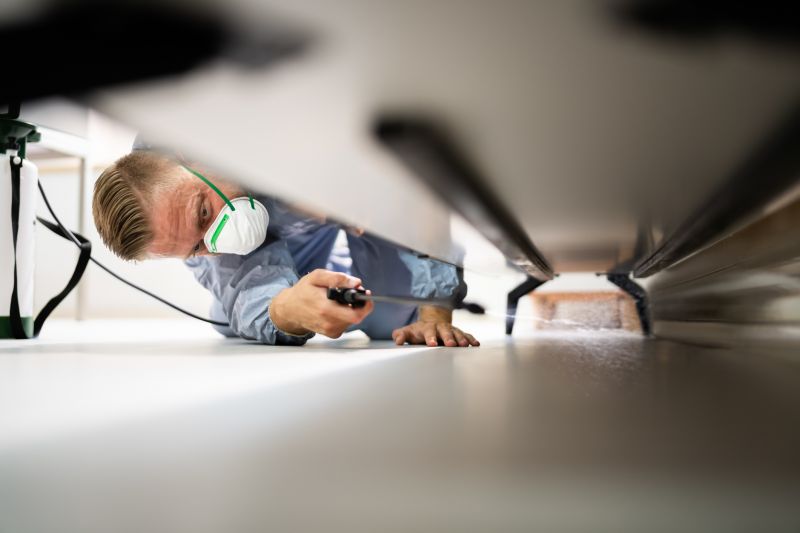 Pest Treatment Service in Frisco, TX