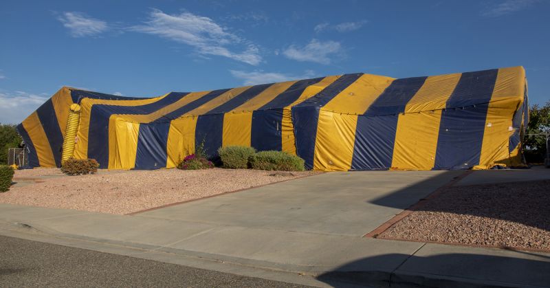Tent Fumigation in Long Island, NY
