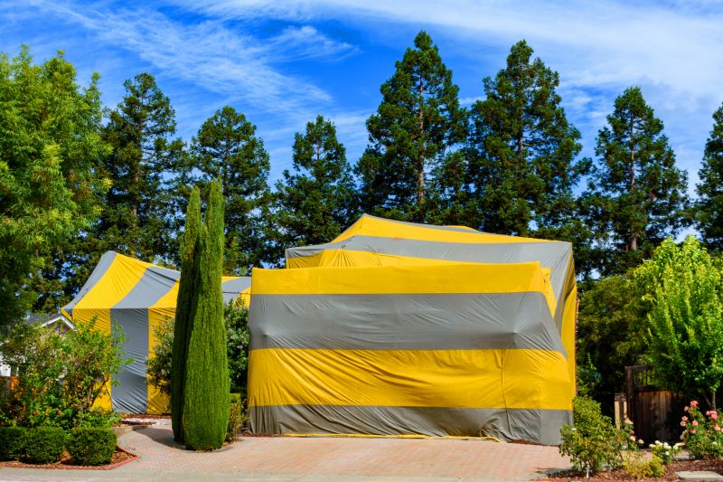 Termite Tenting in San Jose, CA