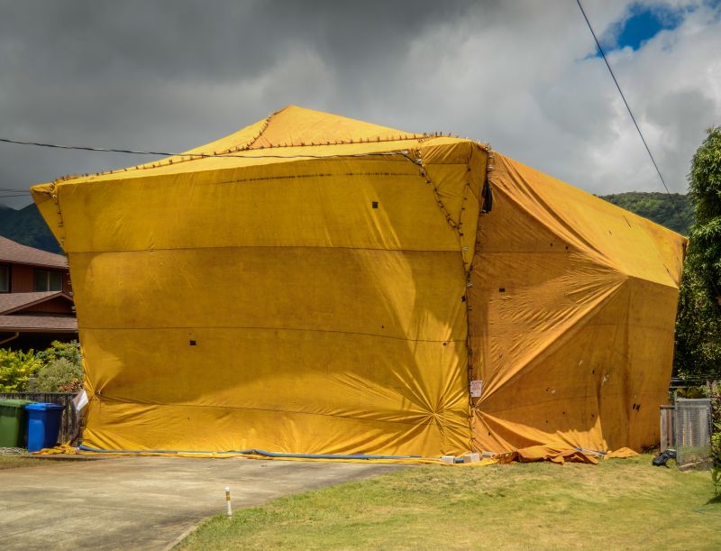 Termite Tenting in Ann Arbor, MI