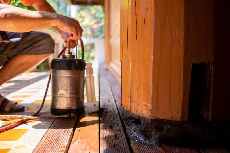 Termite Treatment Service in Katy, TX