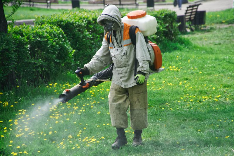 Yard Insect Treatment in Katy, TX